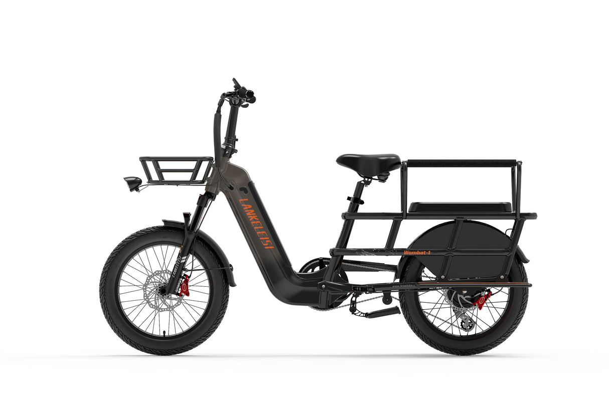 LANKELEISI Wombat-1 1000W Cargo-Elektrofahrrad mit Armlehne hinten