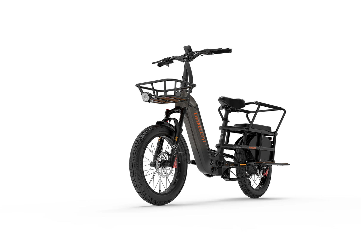 LANKELEISI Wombat-1 1000W Cargo-Elektrofahrrad mit Armlehne hinten