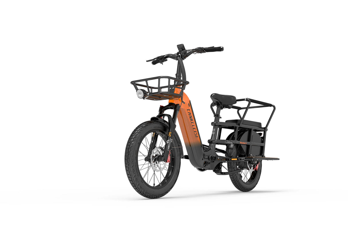 LANKELEISI Wombat-1 1000W Cargo-Elektrofahrrad mit Armlehne hinten