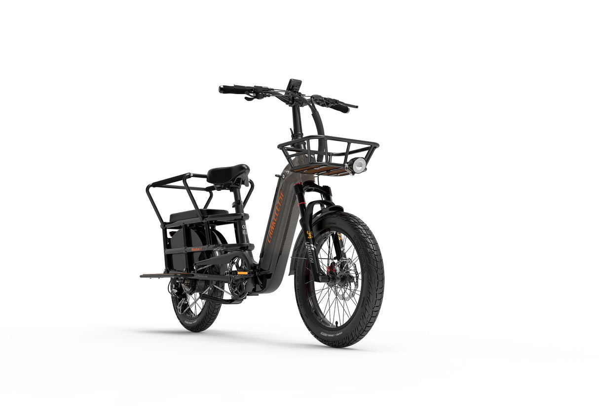 LANKELEISI Wombat-1 1000W Cargo-Elektrofahrrad mit Armlehne hinten