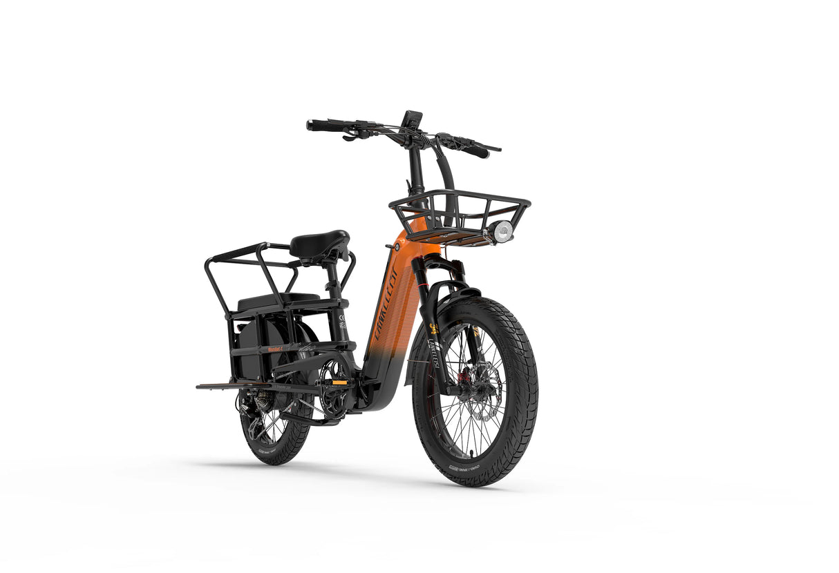 LANKELEISI Wombat-1 1000W Cargo-Elektrofahrrad mit Armlehne hinten
