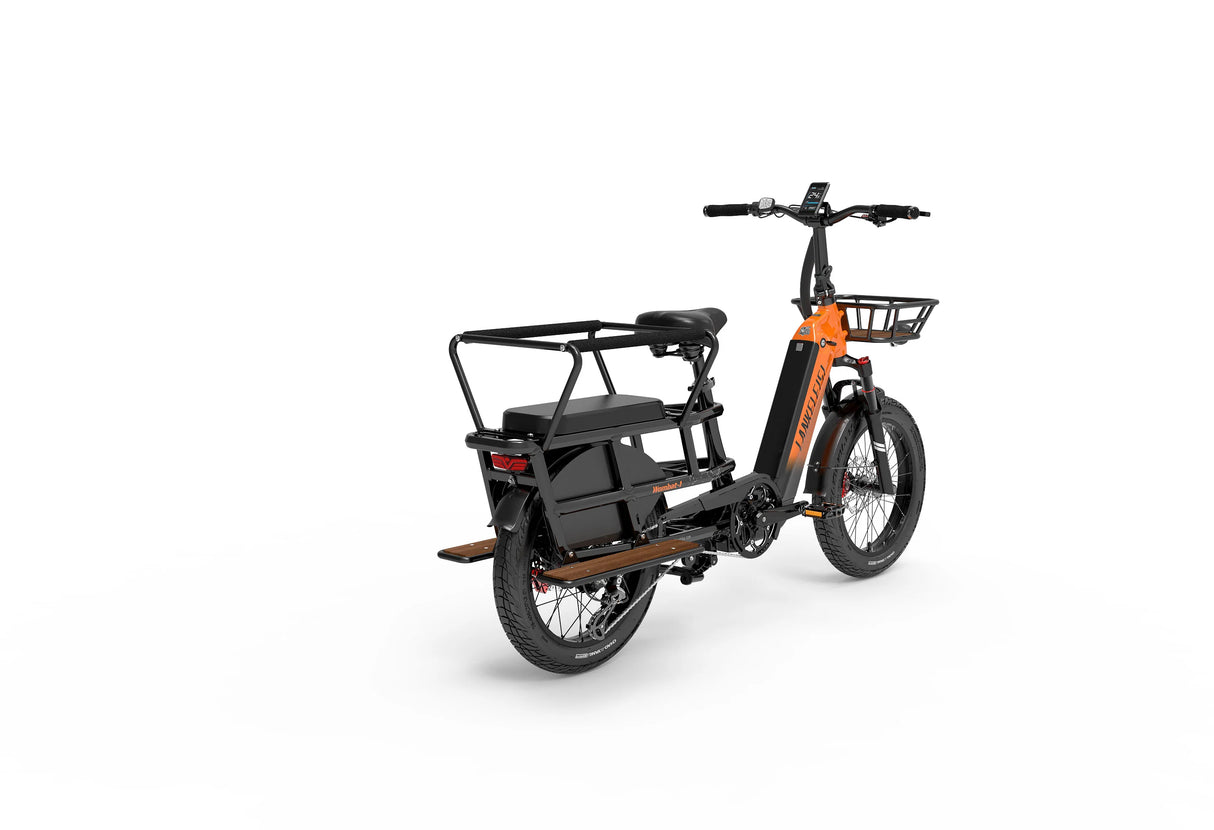 LANKELEISI Wombat-1 1000W Cargo-Elektrofahrrad mit Armlehne hinten