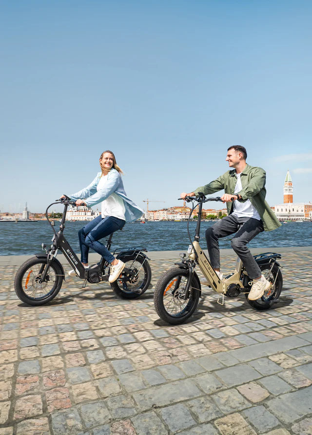 ENGWE L20 3.0 Pro E-bike pieghevole con motore centrale