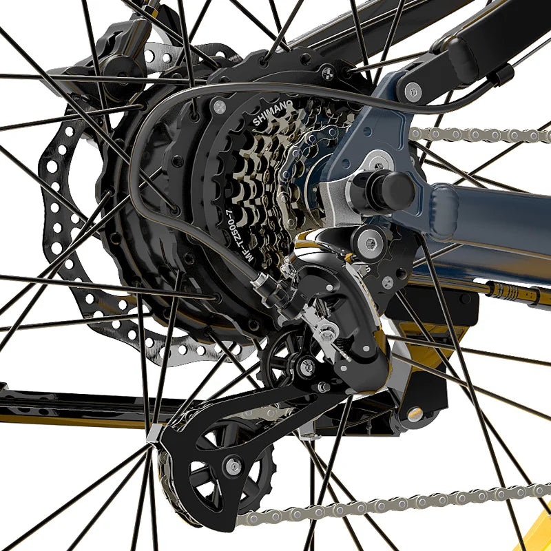 LANKELEISI RV700 Explorer Elektrisches Jagdfahrrad