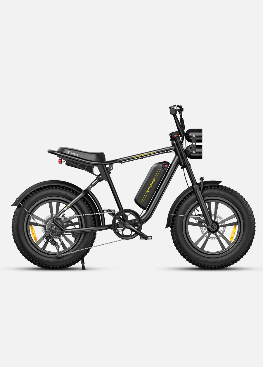 ENGWE M20 Full Suspension Fat Tire E-bike