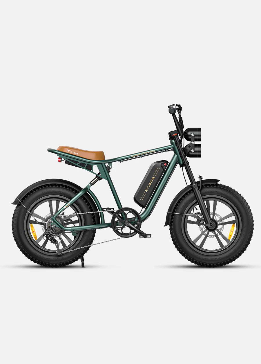 ENGWE M20 Full Suspension Fat Tire E-bike