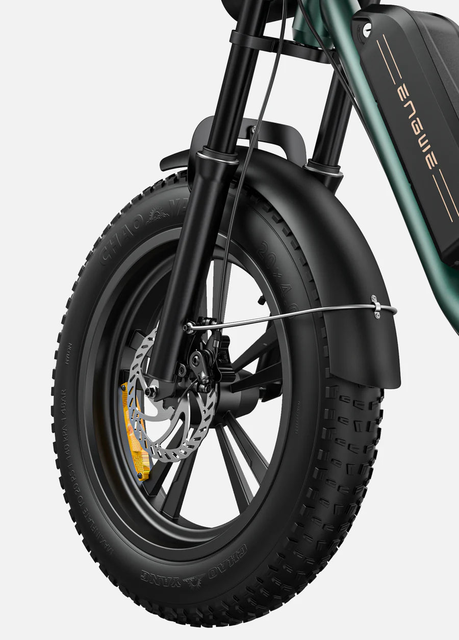 ENGWE M20 Full Suspension Fat Tire E-bike
