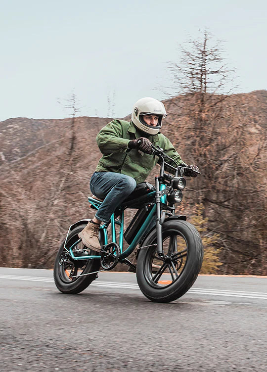 ENGWE M20 Full Suspension Fat Tire E-bike