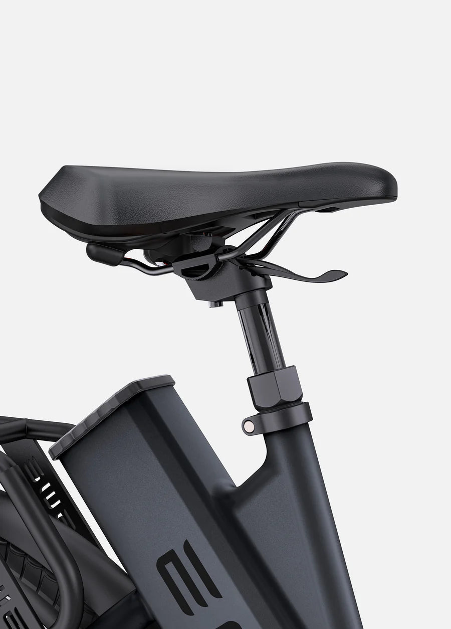 ENGWE P275 ST Mid-drive Step Thru E-bike