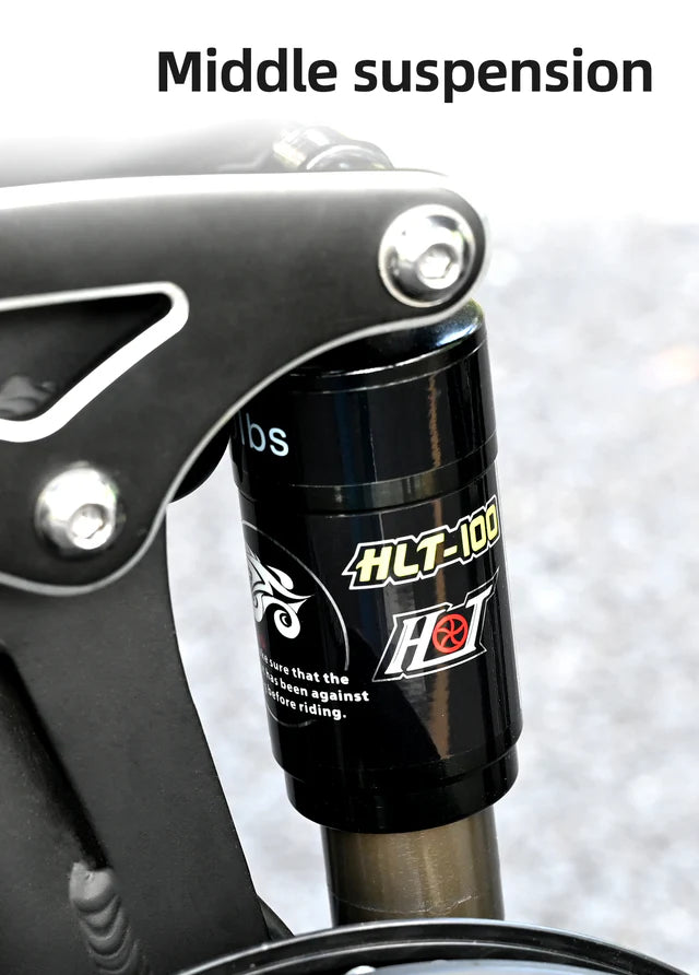 ENGWE Engine X Vollgefedertes faltbares E-Bike