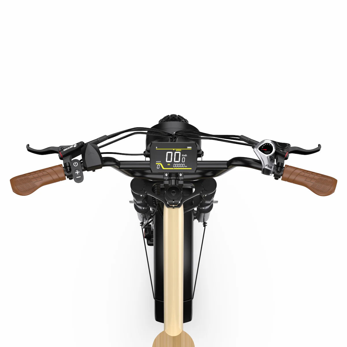 OneSport W77 E-Bike mit Fat Tires