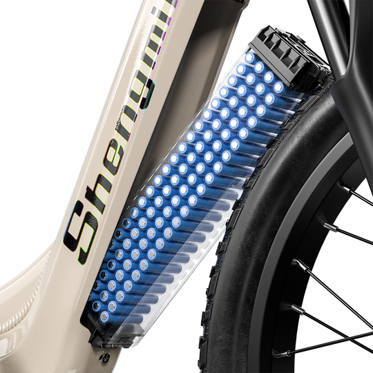 Shengmilo S700 Dual Motor Samsung Battery Electric Bike