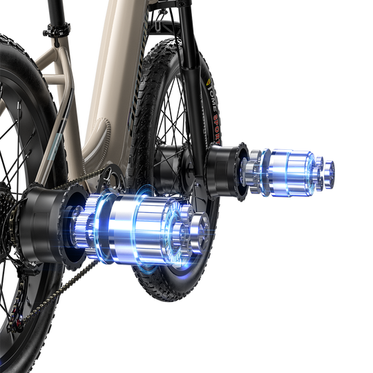 Shengmilo S700 Dual Motor Samsung Battery Electric Bike