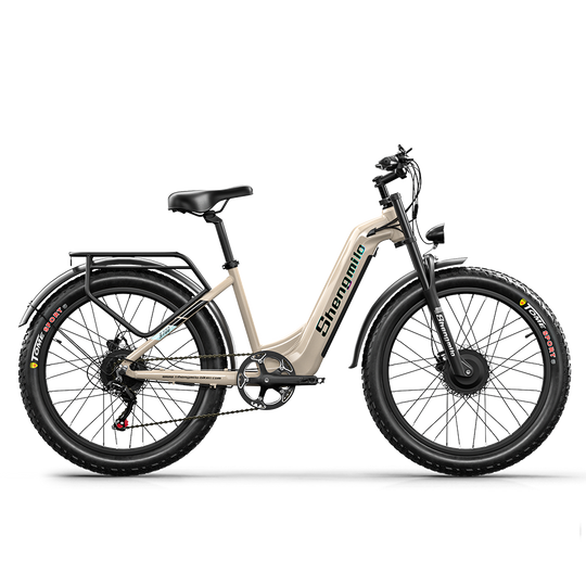 Shengmilo S700 Dual Motor Samsung Battery Electric Bike