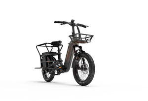 LANKELEISI Wombat-1 1000W Cargo Rear Armrest Electric Bike