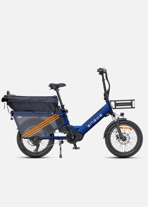 ENGWE LE20 Mid-Drive Cargo E-Bike
