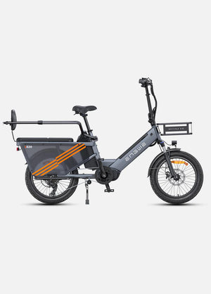 ENGWE LE20 Mid-Drive Cargo E-Bike