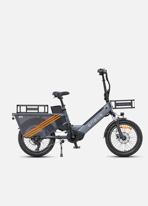ENGWE LE20 Mid-Drive Cargo E-Bike