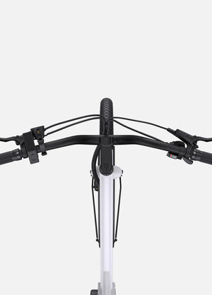 ENGWE P275 ST Mid-drive Step Thru E-bike