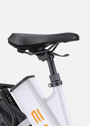 ENGWE P275 ST Mid-drive Step Thru E-bike