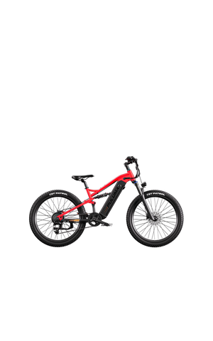 PULUMA PH001 Full Suspension Off-Road Electric Bike