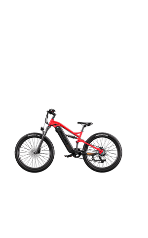 PULUMA PH001 Full Suspension Off-Road Electric Bike