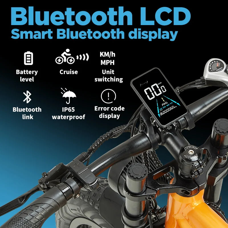 PULUMA PH003 MAX 2000W Fat Tire Dual Suspension Electric bike