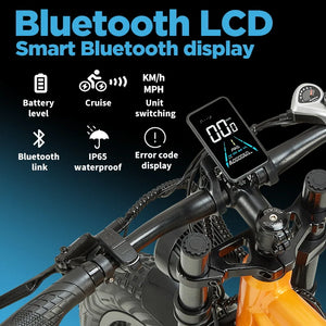 PULUMA PH003 MAX 2000W Fat Tire Dual Suspension Electric bike