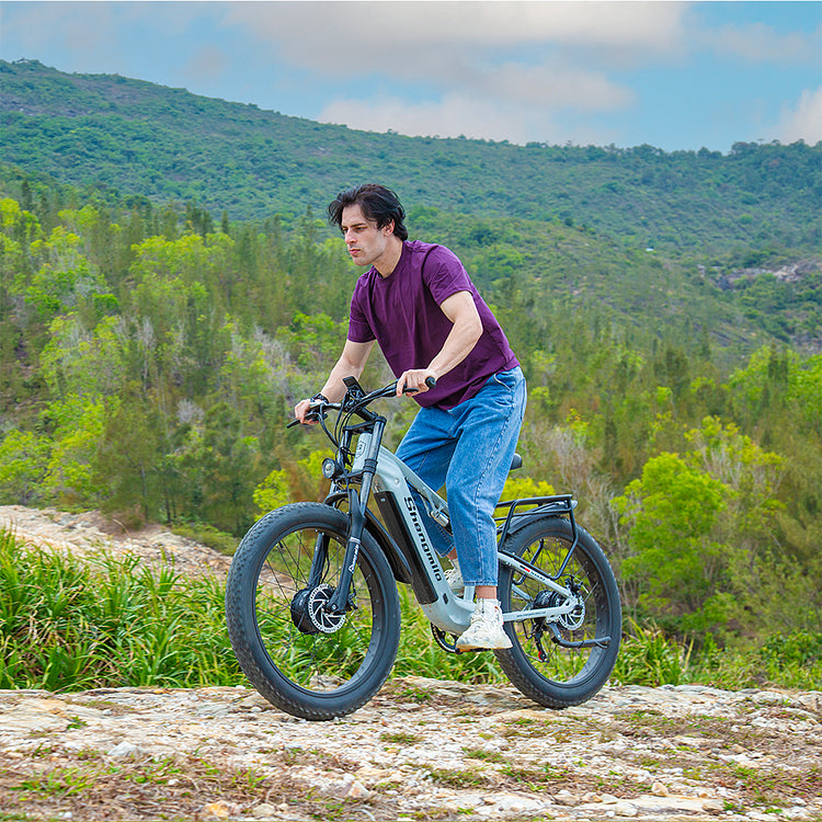 Shengmilo S600 Dual Motor Commuter Electric Bike