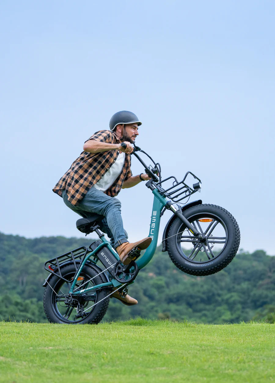ENGWE L20 Boost Torque Sensor Electric Fat Tire Bike