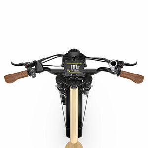 OneSport W77 Fat Tire E-Bike