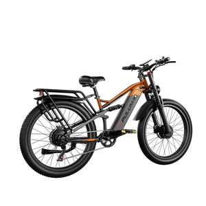 PULUMA PE86PRO 2000W Torque Sensor Electric Bike