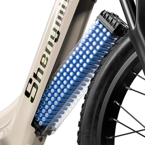 Shengmilo S700 Dual Motor Samsung Battery Electric Bike