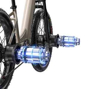 Shengmilo S700 Dual Motor Samsung Battery Electric Bike