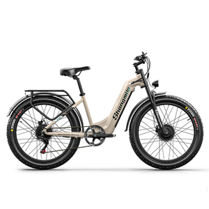 Shengmilo S700 Dual Motor Samsung Battery Electric Bike