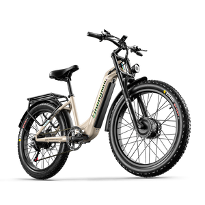 Shengmilo S700 Dual Motor Samsung Battery Electric Bike